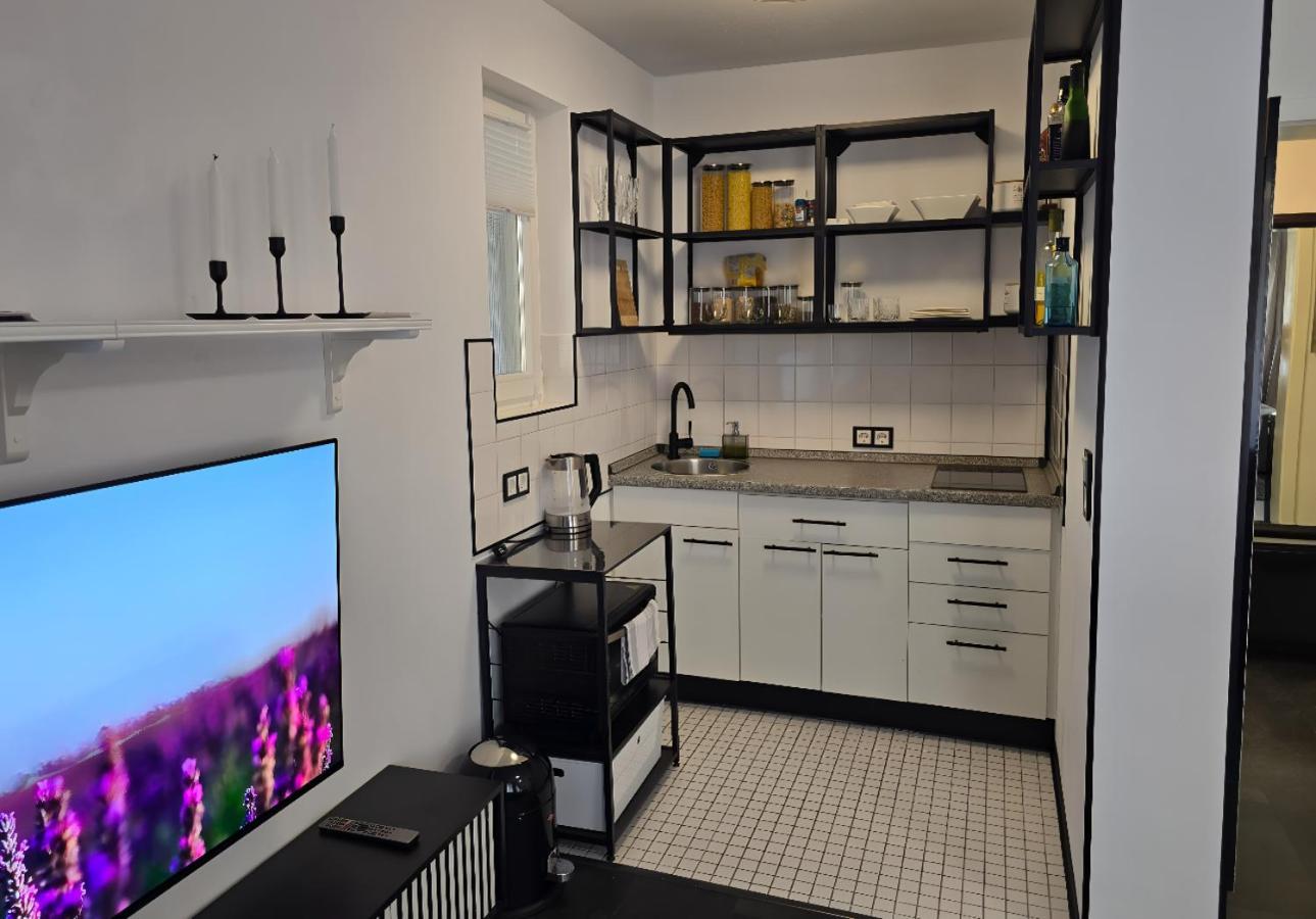 Apartment Modernes Und Gemuetliches In Karlsruhes Zentrum - Apolonialiving